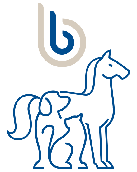 Dog, cat and horse